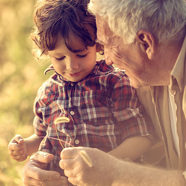 lessons to learn from grandparents