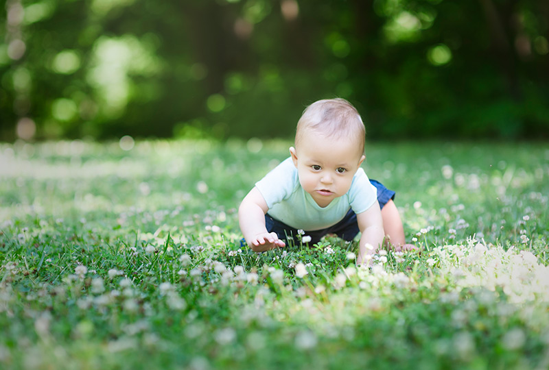 Baby crawls through grass in a field