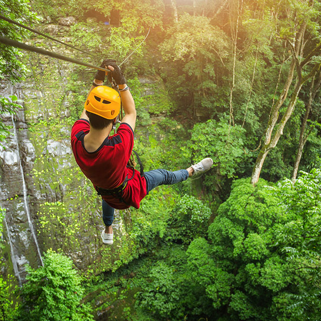 Man zip lining in a tropical forest.